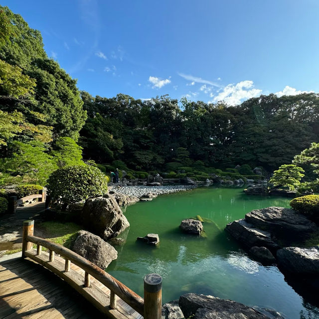 浮間公園：小橋流水🌸🏞️