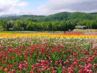 【北海道】国営滝野すずらん丘陵公園