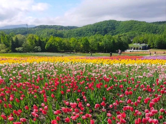 【北海道】国営滝野すずらん丘陵公園