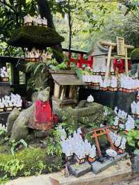 【神奈川県/鎌倉　白狐の置物がたくさん並ぶ神秘的な場所『佐助稲荷神社』】