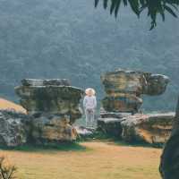 Life in Ninh Binh City: A Gateway to Nature and Tradition