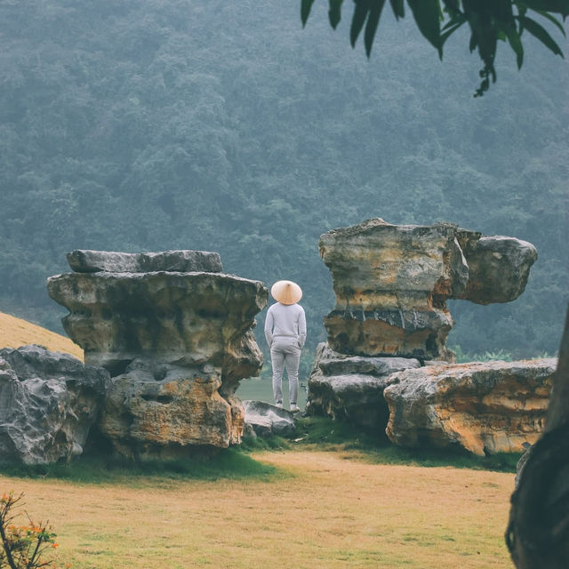 Life in Ninh Binh City: A Gateway to Nature and Tradition