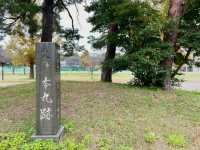 Unveiling the History of Takada Castle