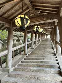 【奈良　長谷寺】