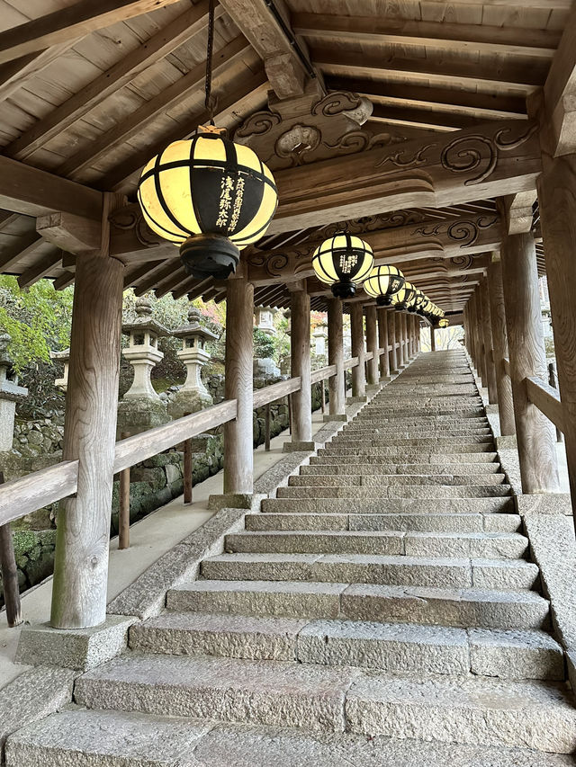 【奈良　長谷寺】