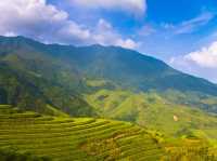 Exploring the Beauty of Longji Rice Terraces