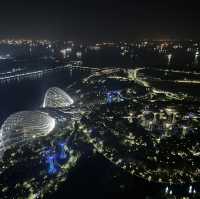 シンガポール🇸🇬大都会と歴史ある国❗️そして綺麗❗️