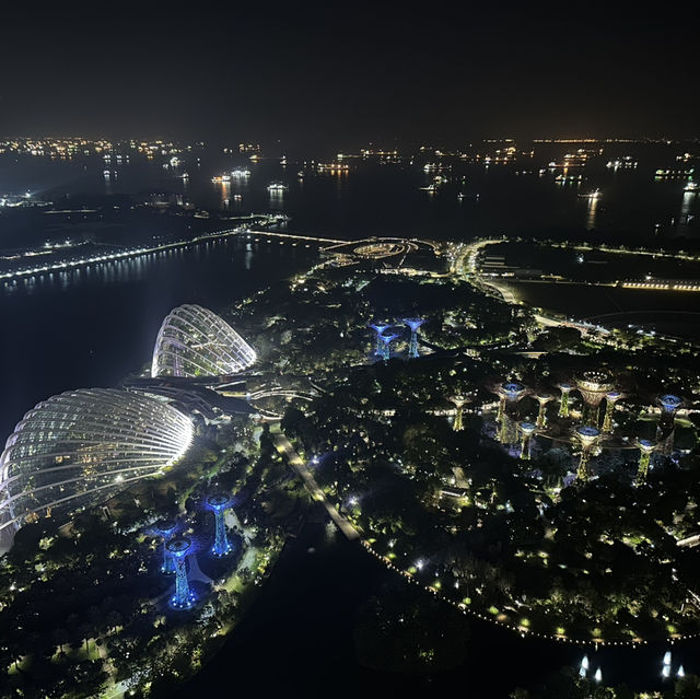 シンガポール🇸🇬大都会と歴史ある国❗️そして綺麗❗️