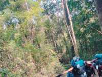 A Memorable Trip to Phu Kradueng National Park