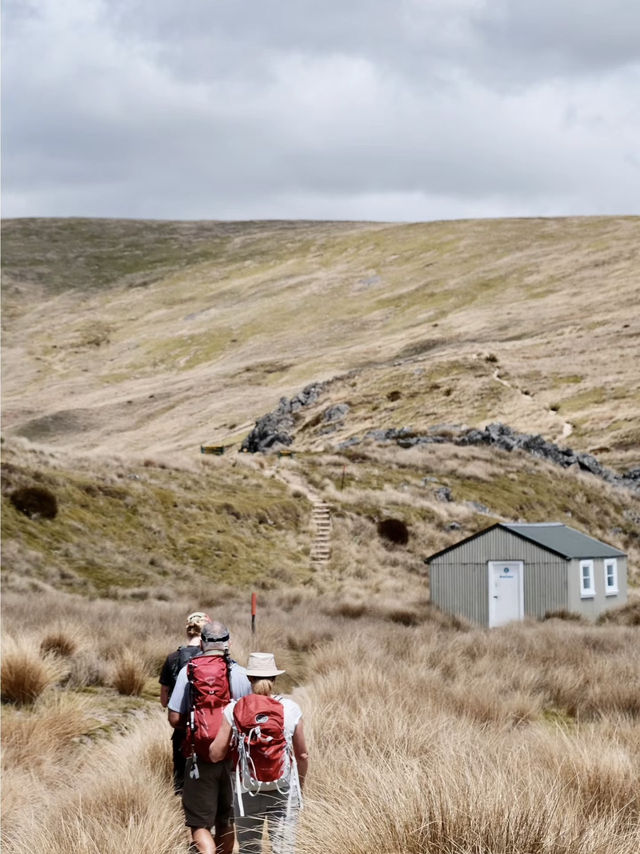 Step Into Paradise: Hiking Nelson Lakes National Park