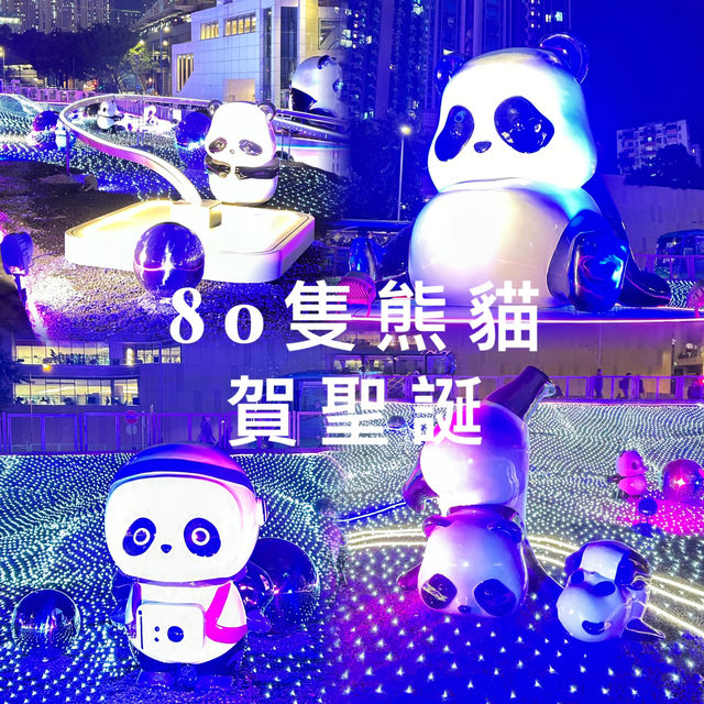 🇭🇰 香港！今個聖誔有熊貓陪大家一起慶祝🎅🌲