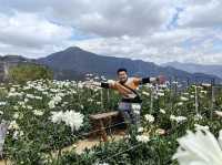 Blossom into Beauty at Northern Blossom Flower Farms