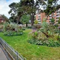 Boscombe Chine Gardens