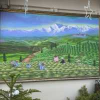 🇮🇳 印度-大吉嶺 Darjeeling Happy Valley