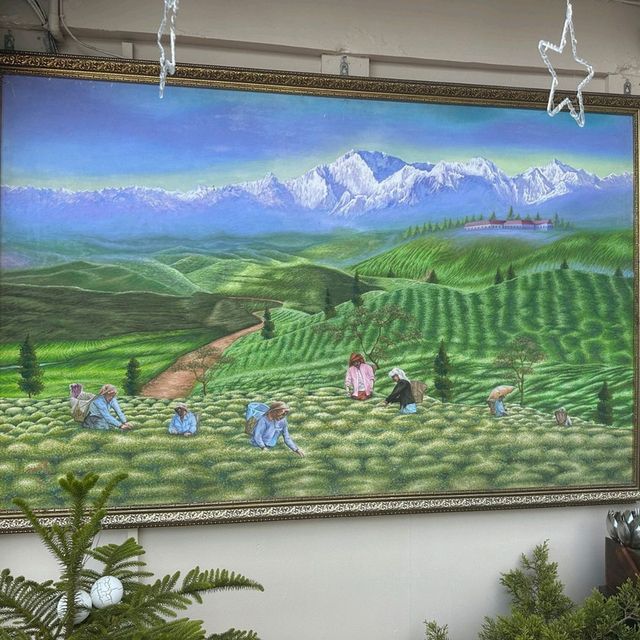🇮🇳 印度-大吉嶺 Darjeeling Happy Valley