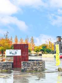 隣が公園と美術館のパン屋さん【福井】