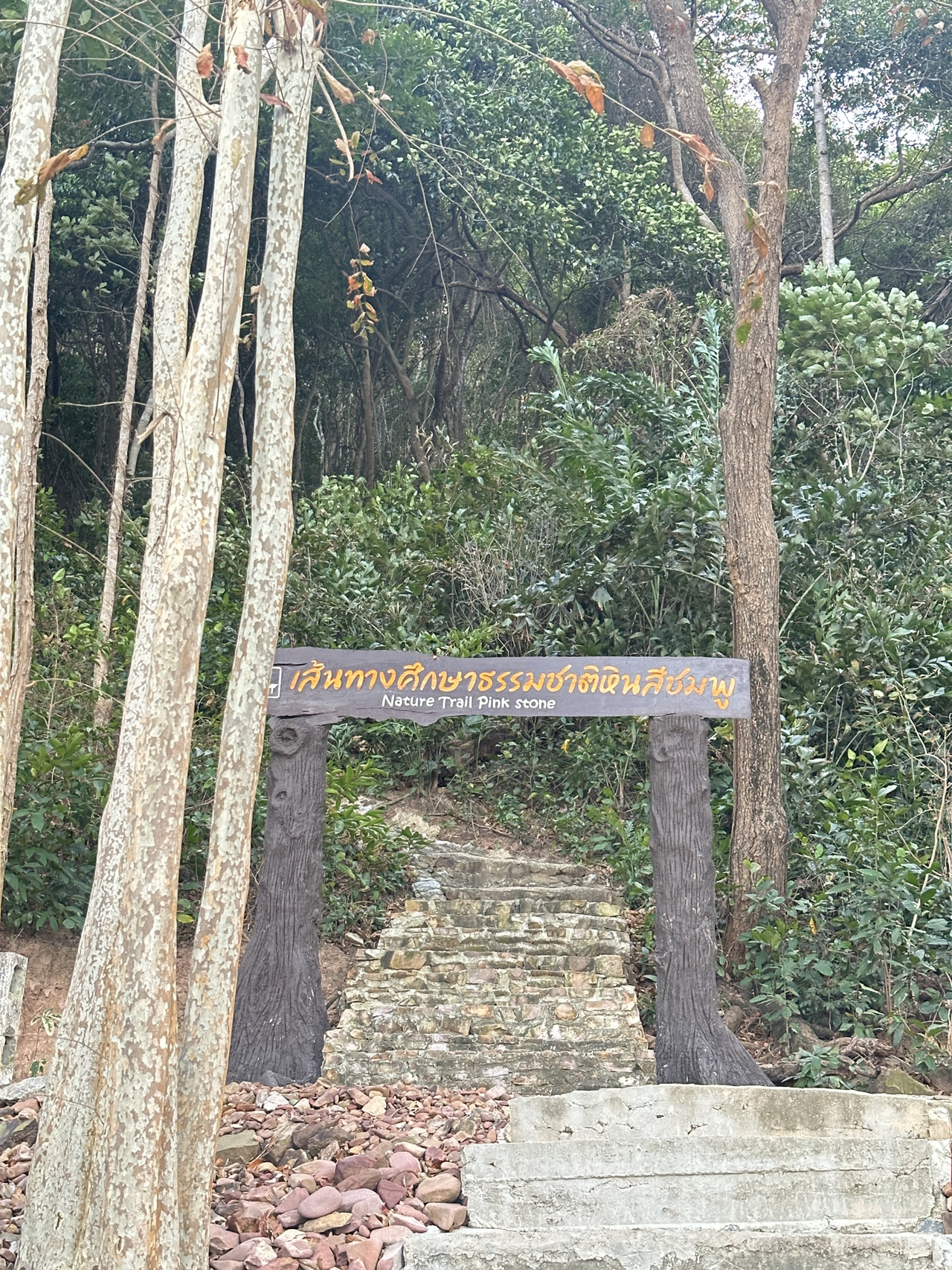 The Pink Coast (Lan Hin Chomphu)のおすすめガイド2025年（7月