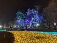 Charming Chiangmai Flower Festival