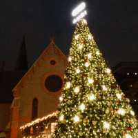  Christmas Market 2024 in Shanghai