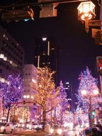 日本🇯🇵 大阪｜御堂筋大街超美燈飾裝置🎄❄️