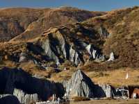 Flaring Rock Forest [Moshi Park in Autumn]
