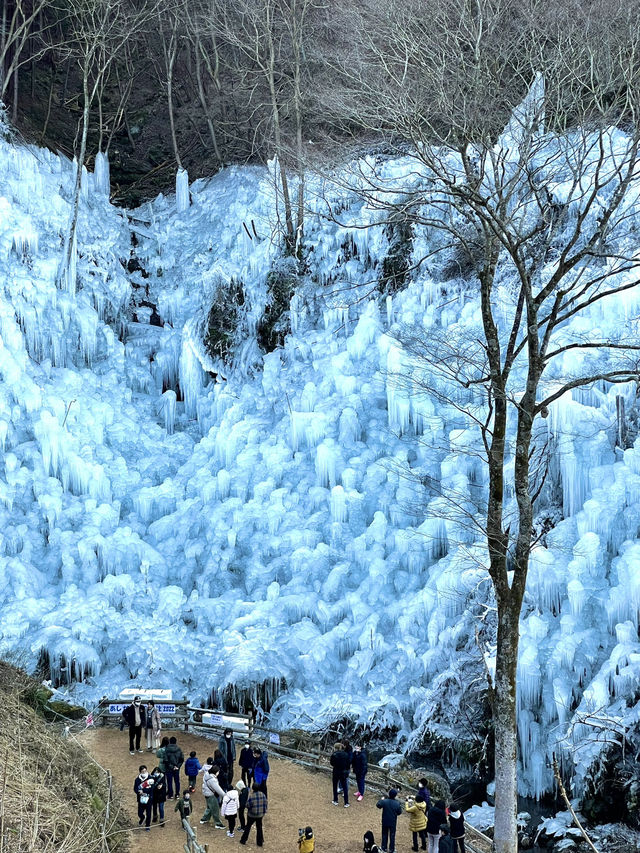 【秩父の冬の風物詩】三大氷柱  電車とのツーショットも撮れる氷柱