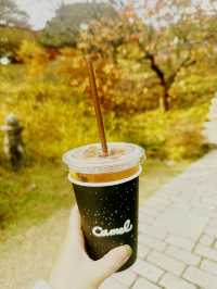 미술관에 있는 특별한 카페 ‘카멜커피 호암미술관점’ ☕️🍁