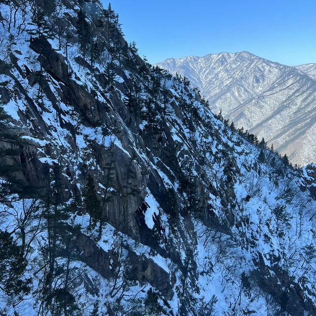 겨울여행지 추천! 설산이 멋진 설악산케이블카 여행🏔️
