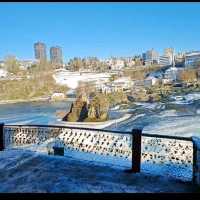 Feel the Rush: Dive Into the Thunderous Beauty of Rhine Falls!