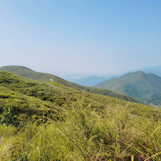 Discovering the Wild Beauty of Wilson Trail Section 9