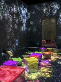 teamLab Forest Fukuoka: Step Into a World of Digital Wonder
