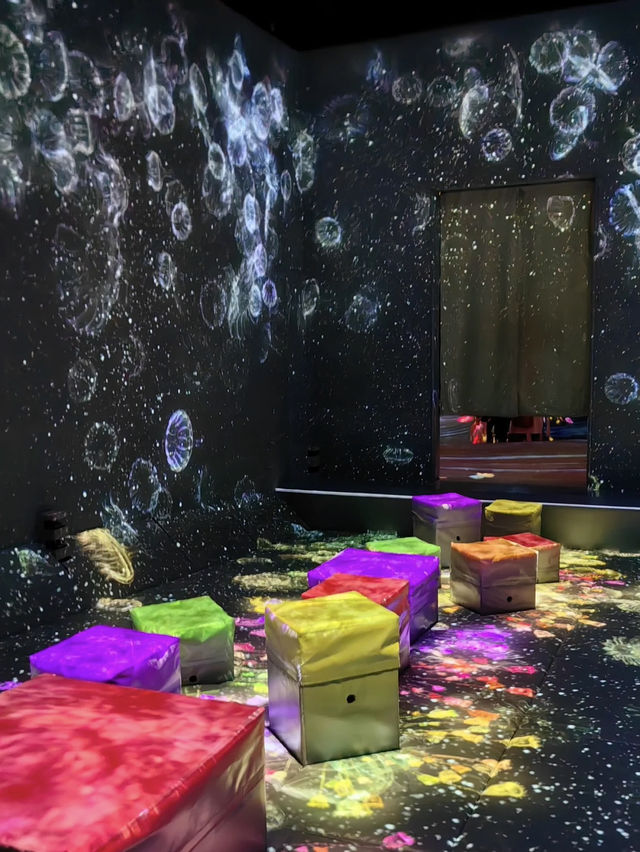 teamLab Forest Fukuoka: Step Into a World of Digital Wonder