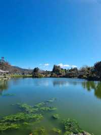고요한 마을에서 마주한 로토루아 호수(Rotorua Lake)🇳🇿