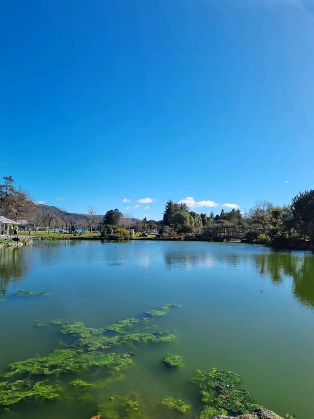 고요한 마을에서 마주한 로토루아 호수(Rotorua Lake)🇳🇿