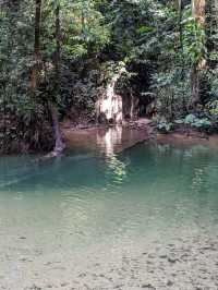 Into the Heart of Borneo: My Adventure in Gunung Mulu National Park