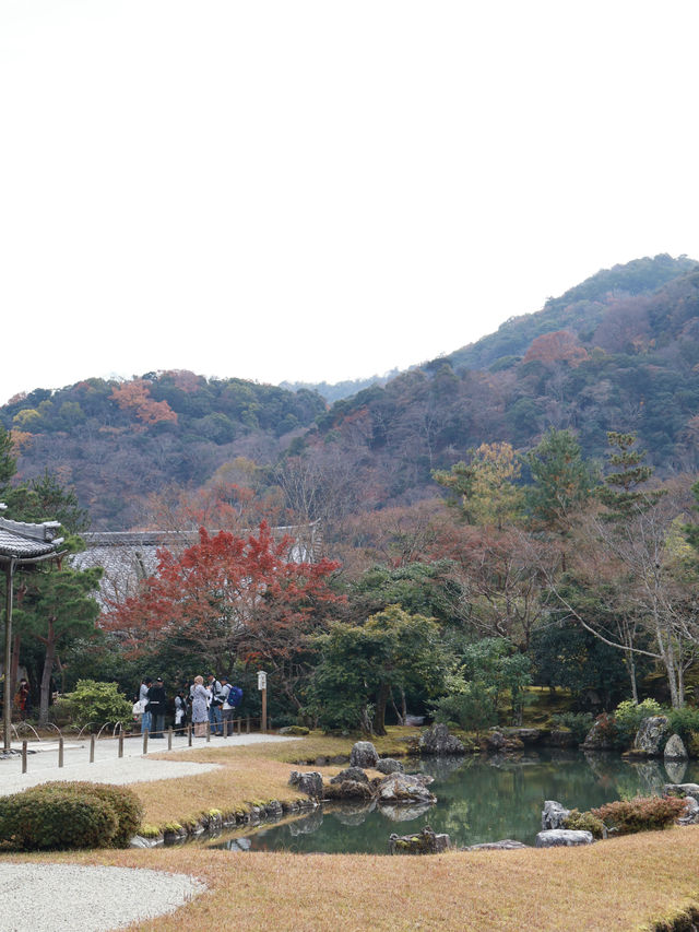 Three days two nights in Kyoto Itinerary 