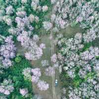 ภูลมโล