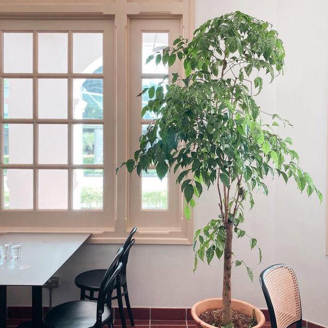 Gather Cafe Singapore