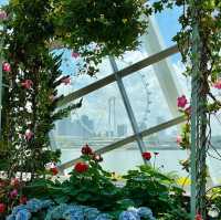 Gardens by the Bay，被譽為新加坡最優美的城市園林傑作