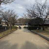 Relaxing time at Ueno Park, Tokyo