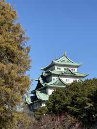 The Stunning Nagoya Castle, You Have To See It To Believe It! 🇯🇵 🏯🗾