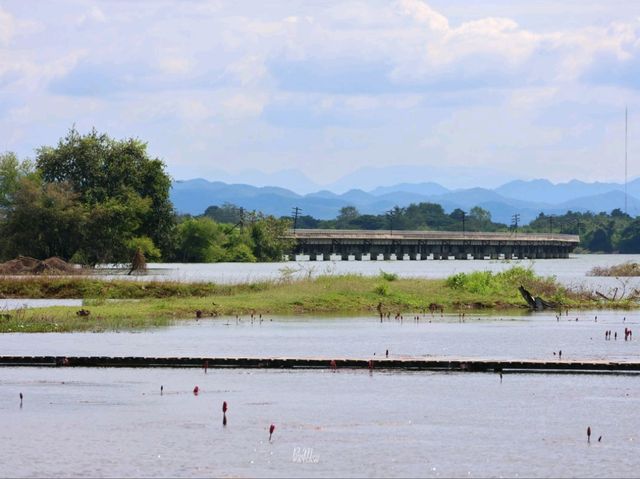 ไร่ทรัพย์ประยูร ลพบุรี