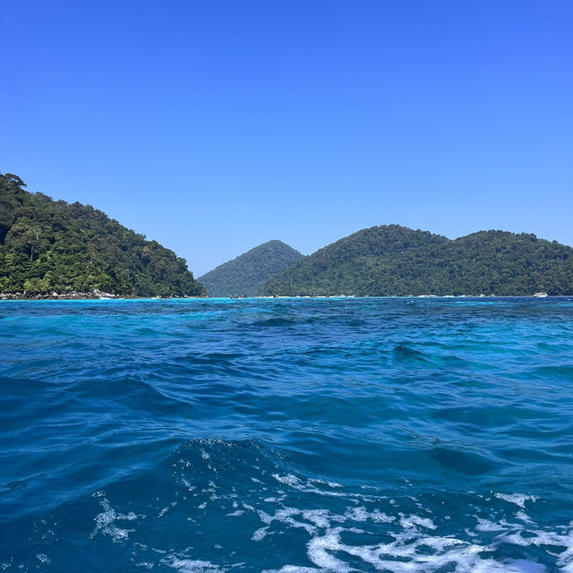 หมู่เกาะสุรินทร์ ในช่วงพีคpeak season🐳