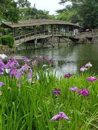 【山道を上がっていくと、突如現れる神秘的な絶景スポット】