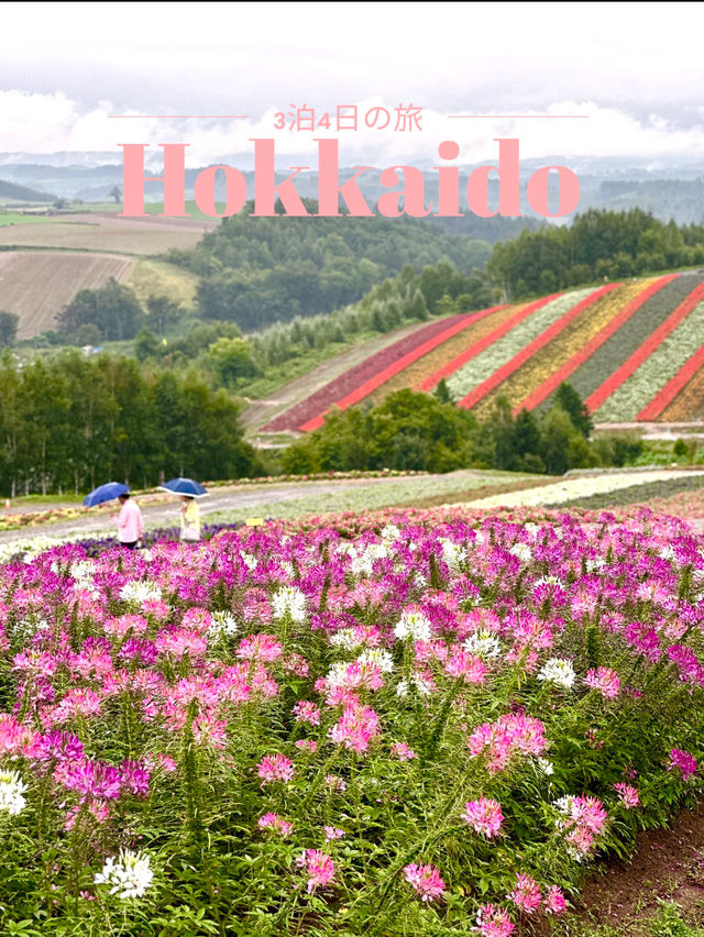 【北海道×3泊4日の旅】