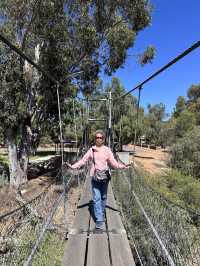 Suspension Bridge