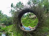 Swing into Serenity at Bali 