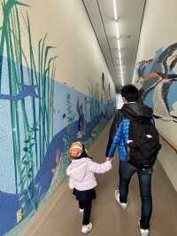 [愛知]旬スポット🐠冬の風物詩こたつに座って水槽を眺められる水族館