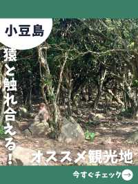 【小豆島旅行】日帰り旅行で行きたい！可愛い子猿とも触れ合える人気のモンキーパーク！