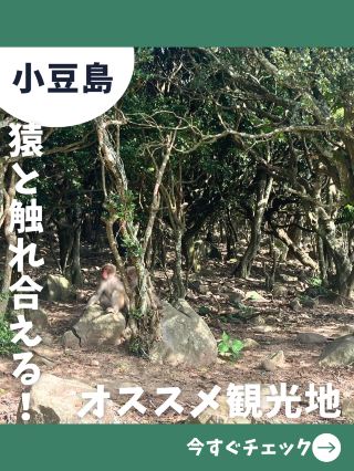 【小豆島之旅】一日遊必訪！還能與可愛小猴互動的超人氣猴子公園！